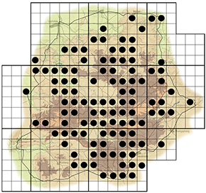 Ficus burkei Waterberg distribution